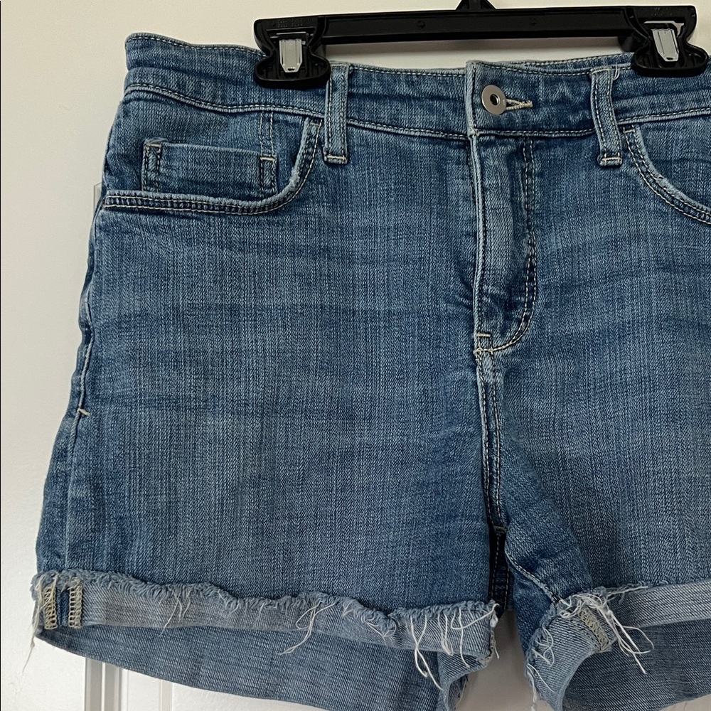 Pilcro and the Letter Press | (29) Slim Boyfriend Denim Shorts - Picture 2 of 8